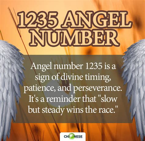 1235 angel number twin flame|1235 Angel Number Meaning: Guidance, Progress,。